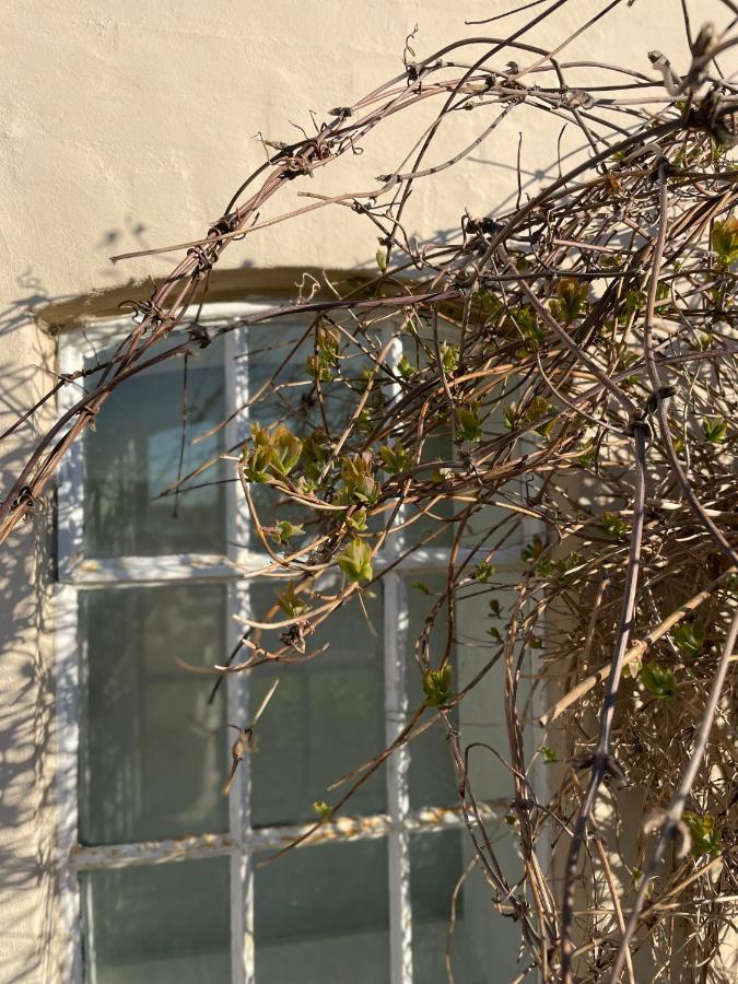 Feriehus I Skon Natur Stenstrup Εξωτερικό φωτογραφία