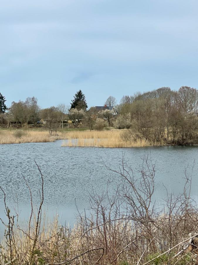 Feriehus I Skon Natur Stenstrup Εξωτερικό φωτογραφία
